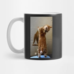 The Secret Mug